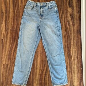 American Eagle Curvy Mom Jean
